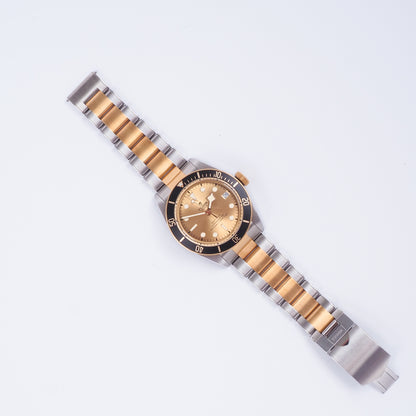 Tudor Black Bay 79733N Champagne Dial 2022 Full Set